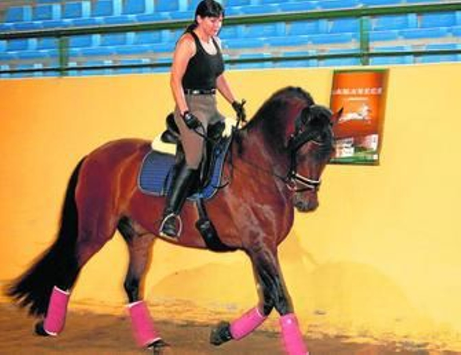 Una mujer alemana monta a caballo en la Escuela de Arte Ecuestre de Estepona.