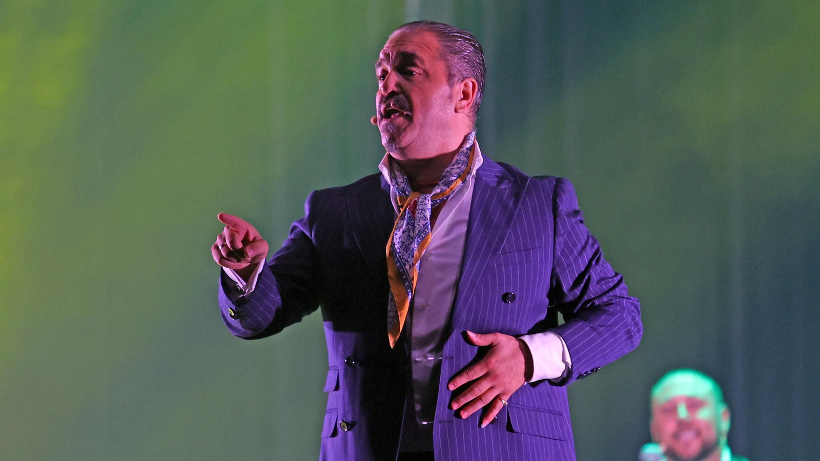 Imágenes de la 58 edición de la Fiesta de la Bulería en Jerez