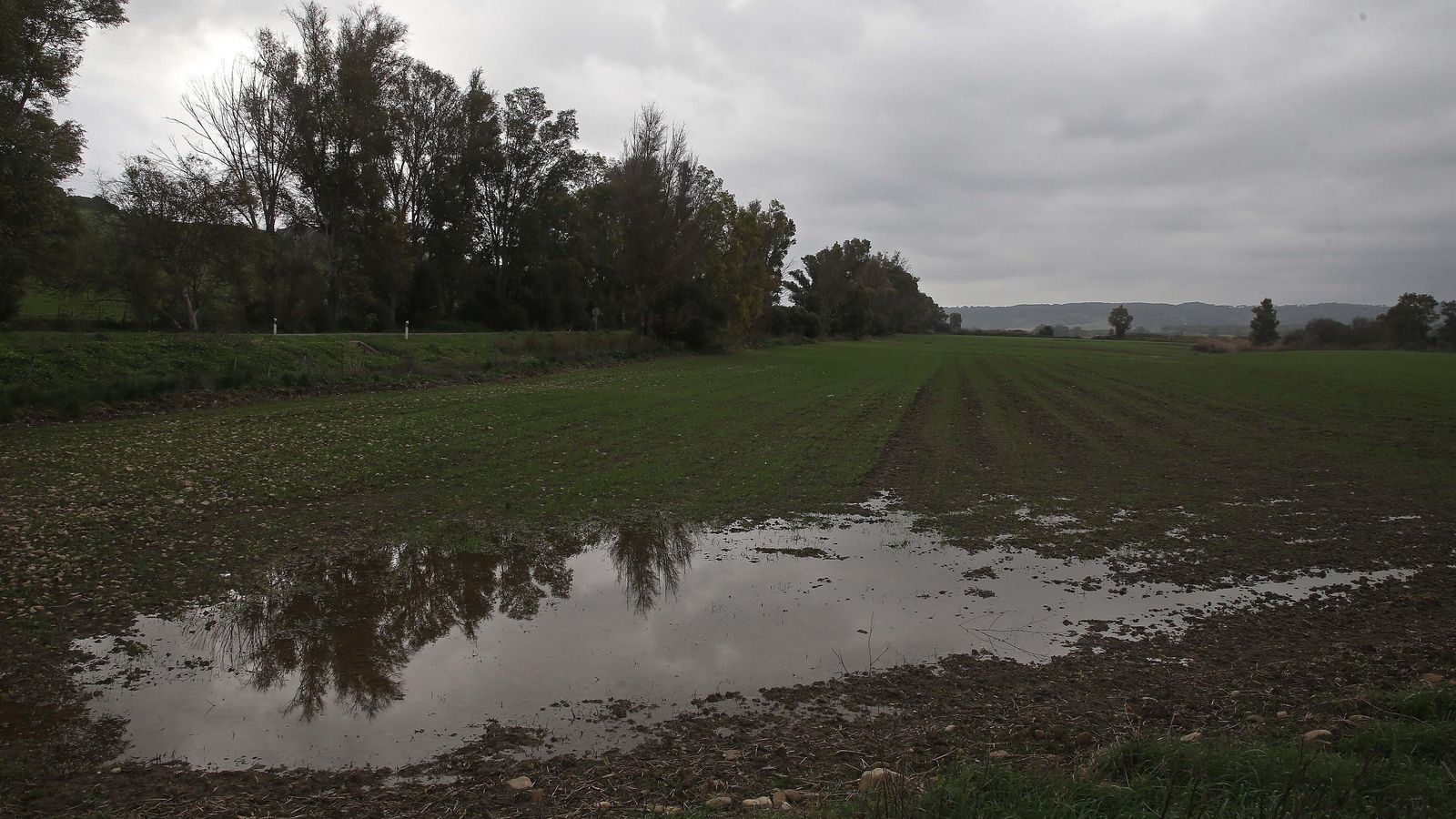Terrenos en la vega de Barría, en Jimena.