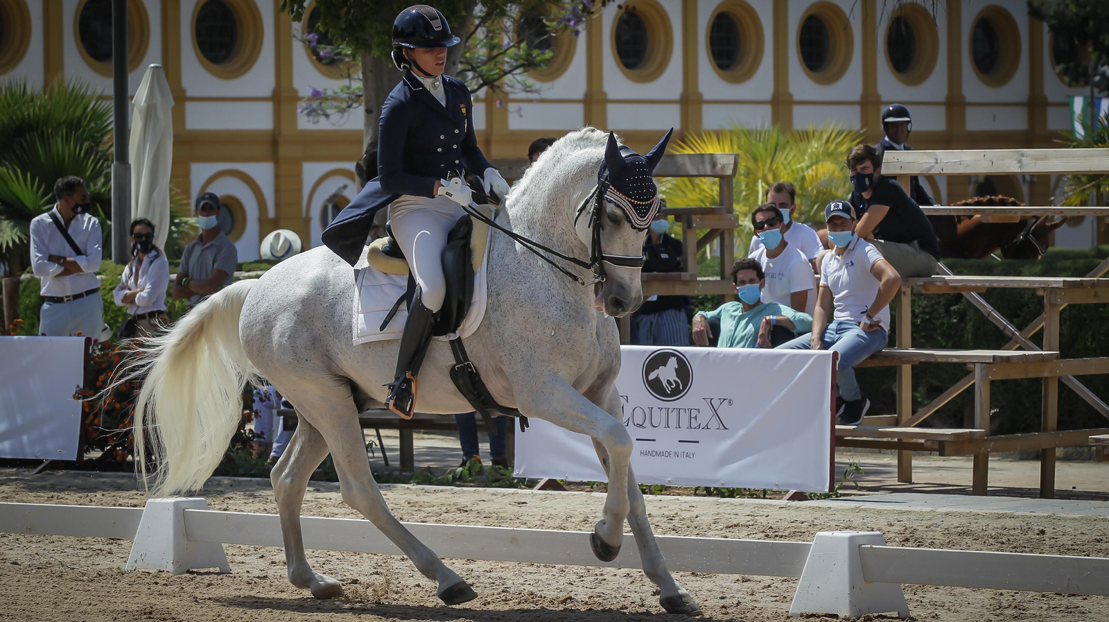 Campeonato de Doma clásica en la Real Escuela