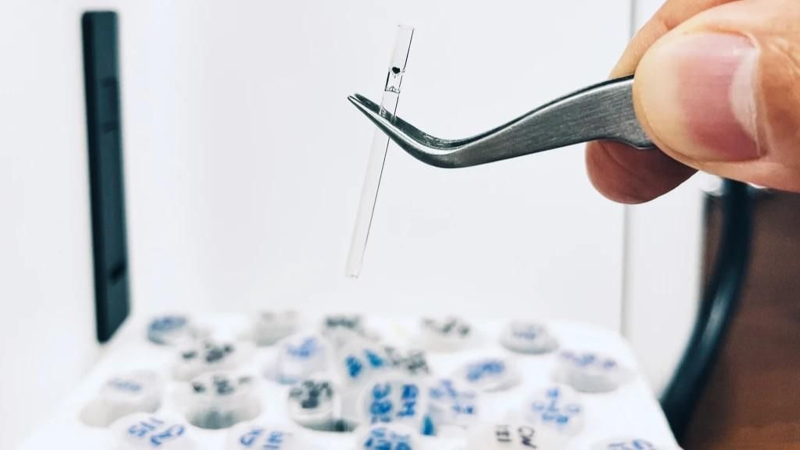 La IA permite detectar rastros de vida en rocas de 3.300 millones de años de antigüedad