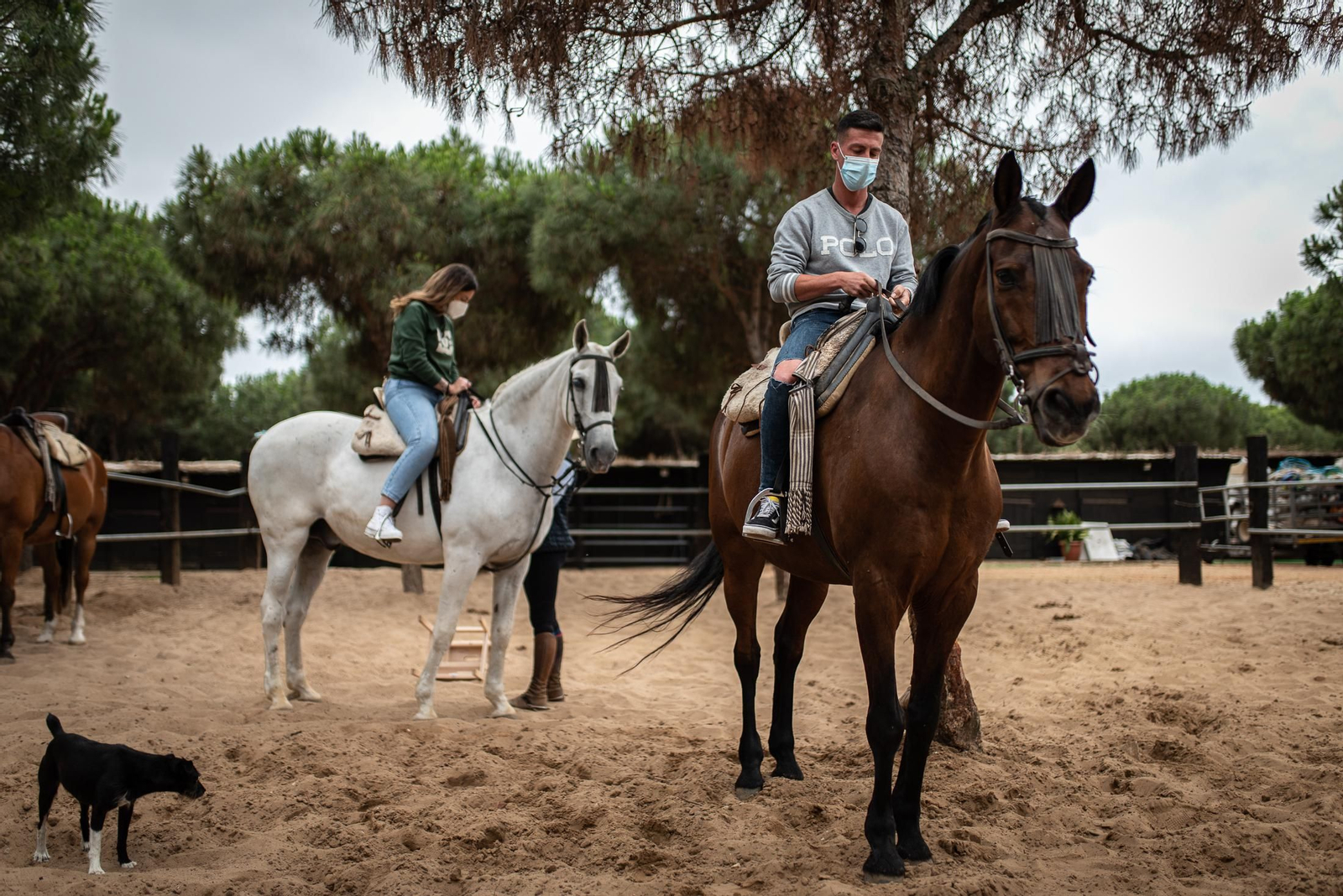 Un paseo a caballo por Doñana en imágenes