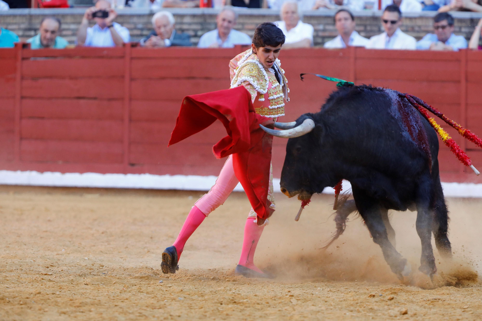 La presentación del novillero Manuel Román en Córdoba, en imágenes