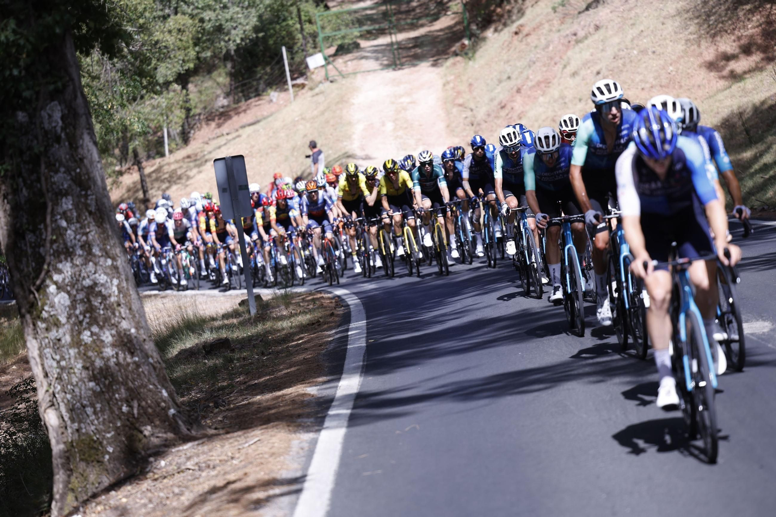 Las mejores fotos de la Vuelta a España | Etapa 8