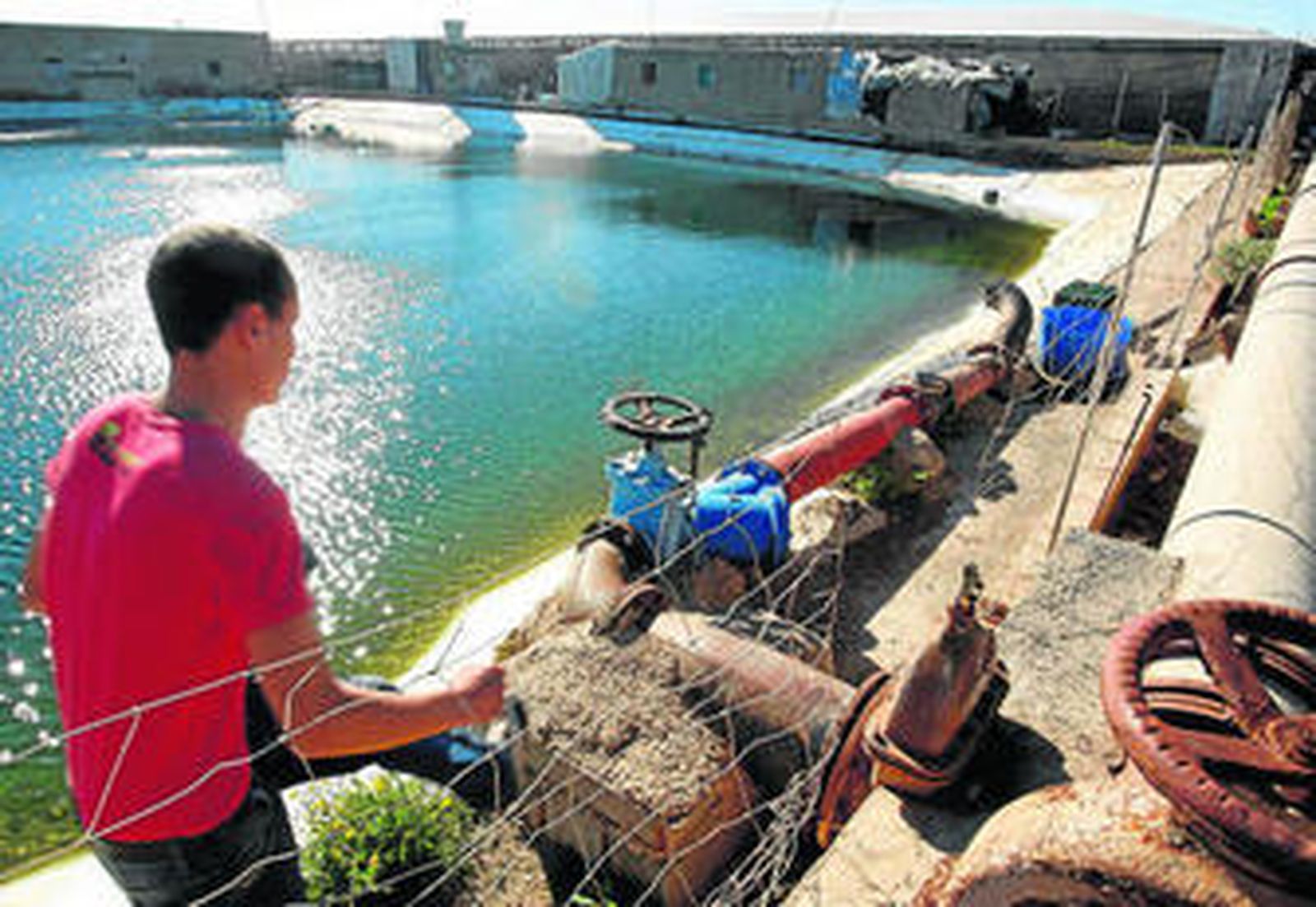 Imagen tomada ayer de la balsa donde tuvo lugar el trágico suceso, en los invernaderos de El Ejido.