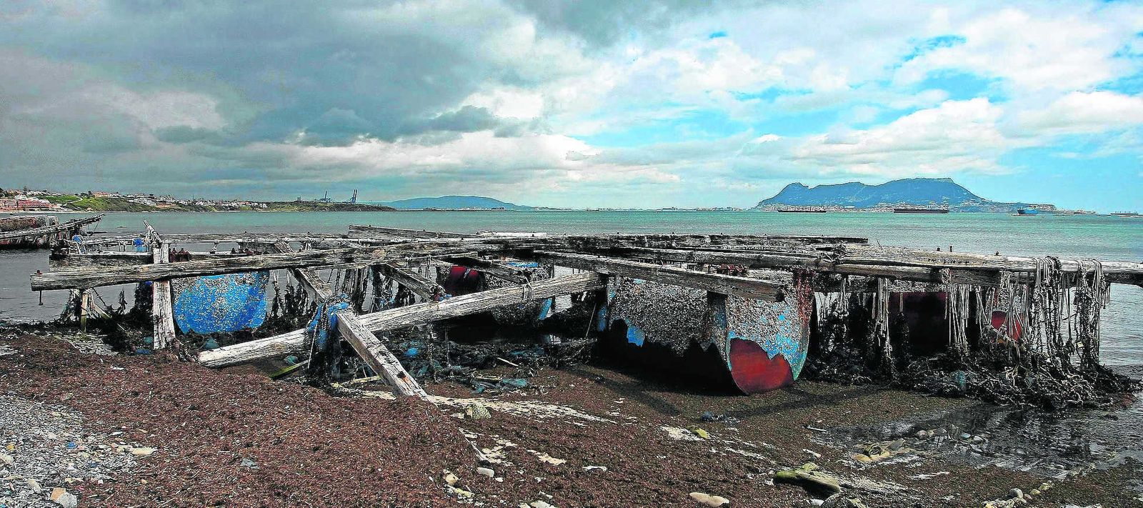 Una de las bateas de mejillones, en la costa de Algeciras.