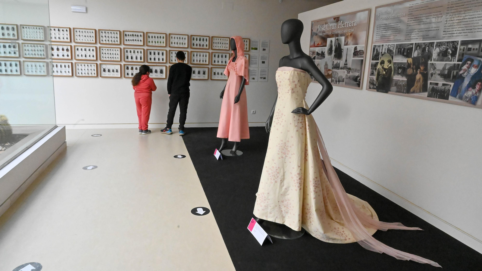 Las fotos de la colección etimologica de Pepe Torres en el Museo Cruz Herrera