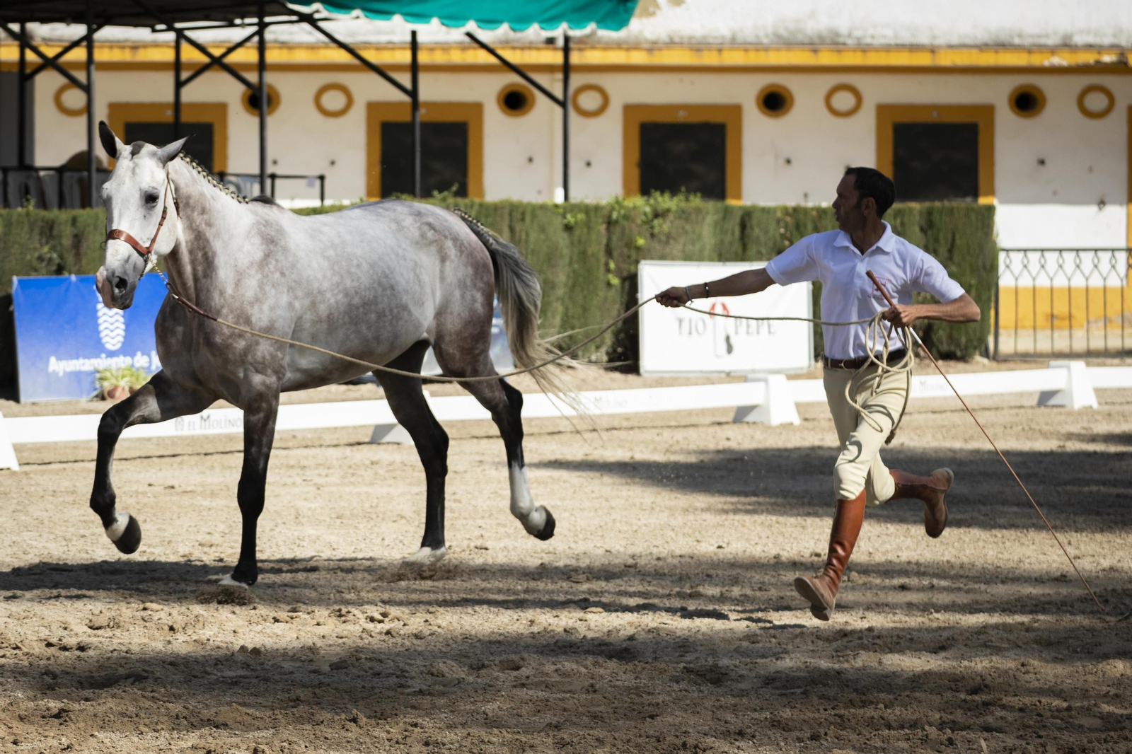 El concurso Campeón de Campeones en el Depósito de Sementales de Jerez