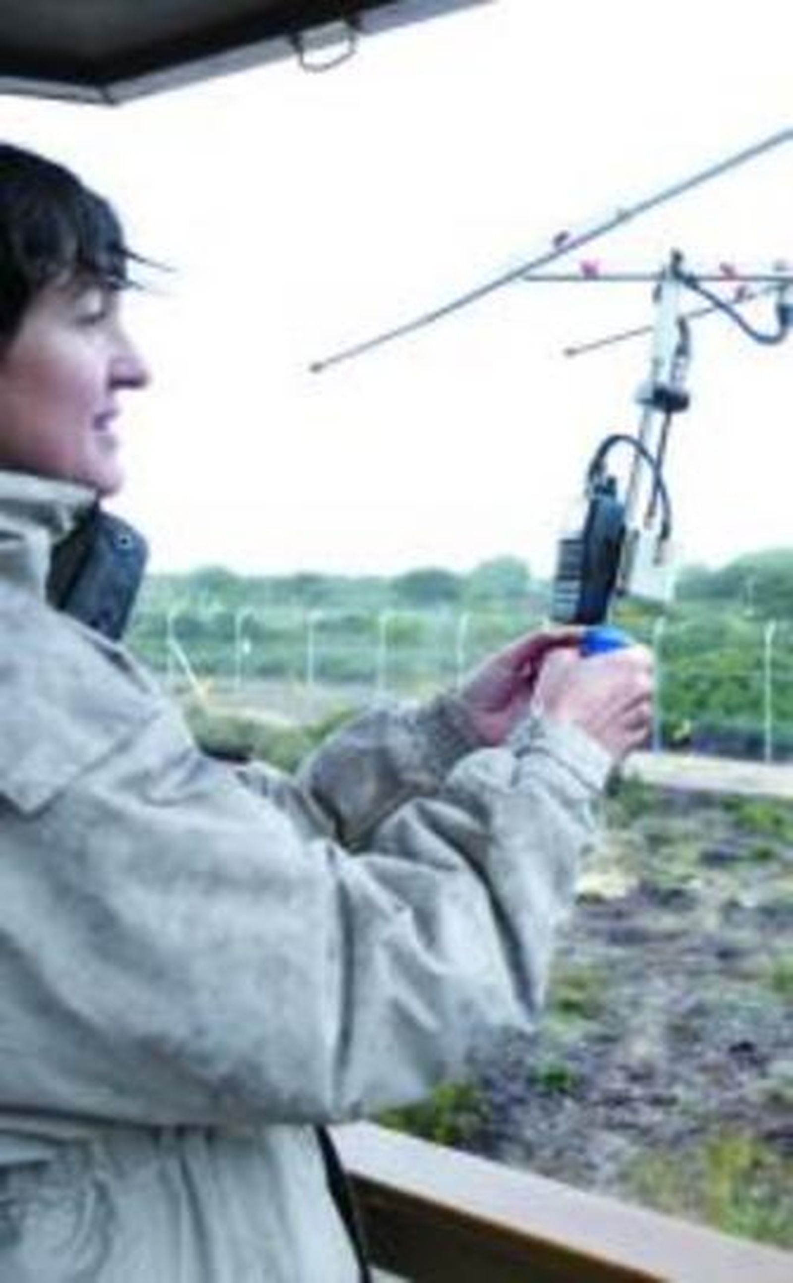 Haciendo el seguimiento del lince.