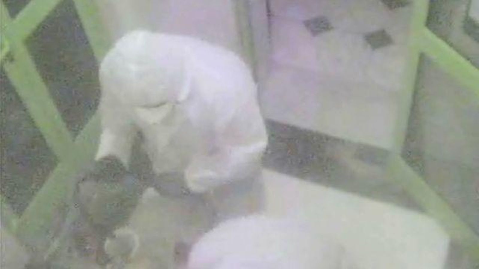 Uno de los ladrones del acetileno, en pleno robo.