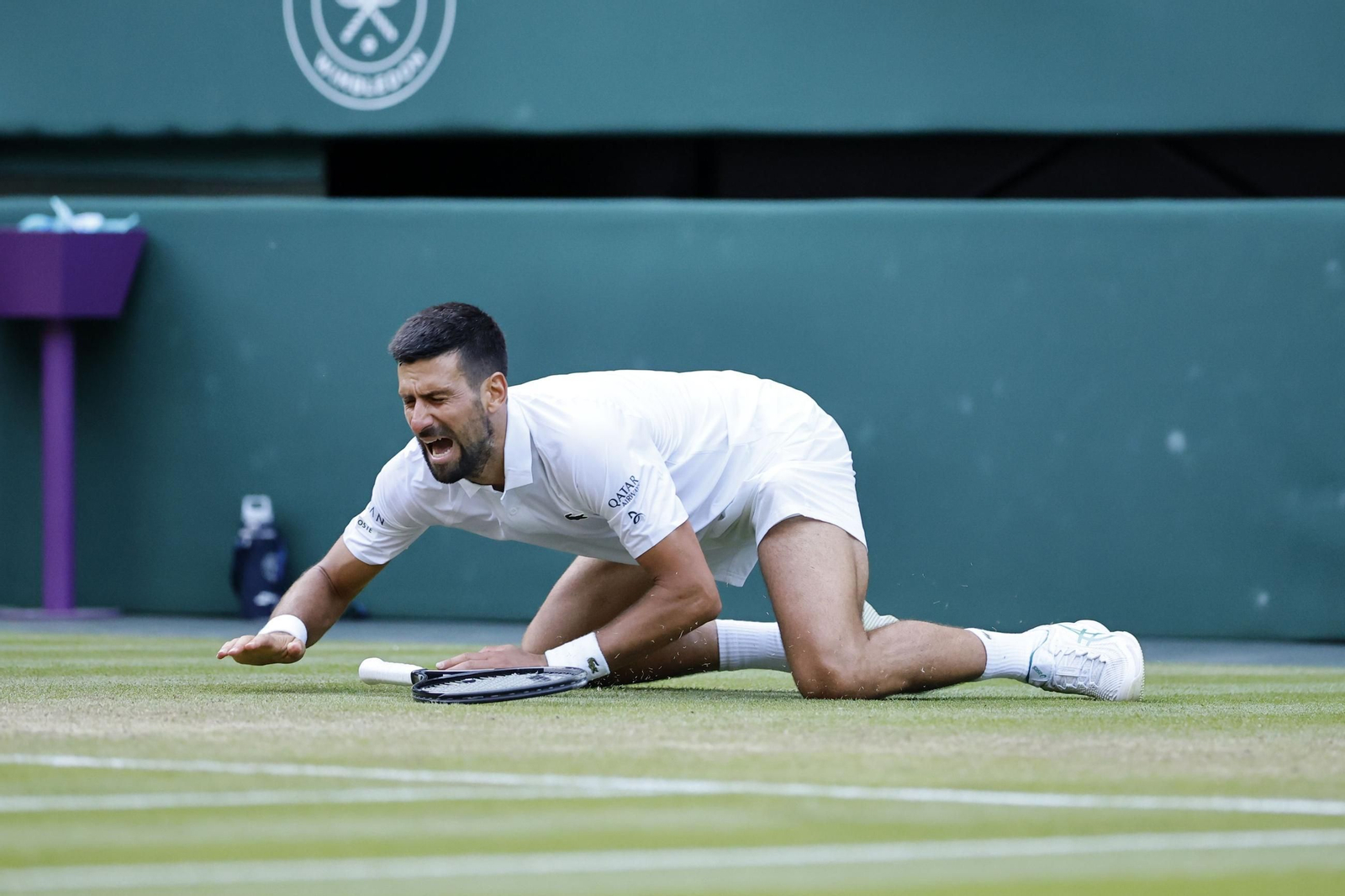 Las fotos de Wimbledon con las clasificaciones de Djokovic y Sinner