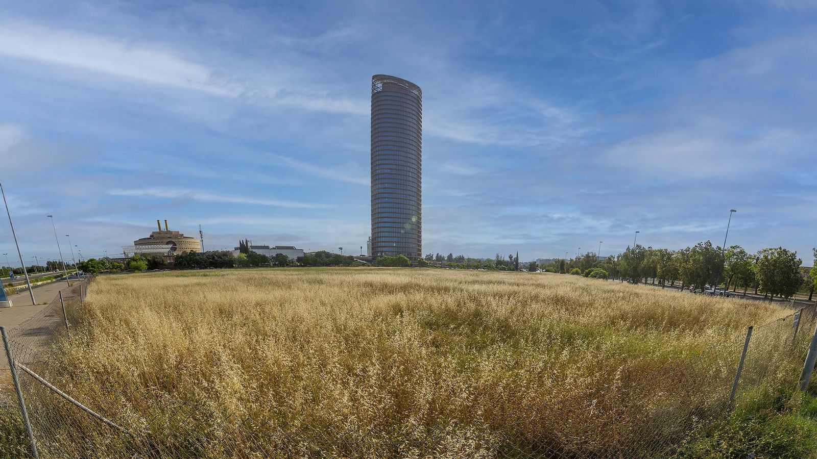 El solar situado junto a la Torre Sevilla.