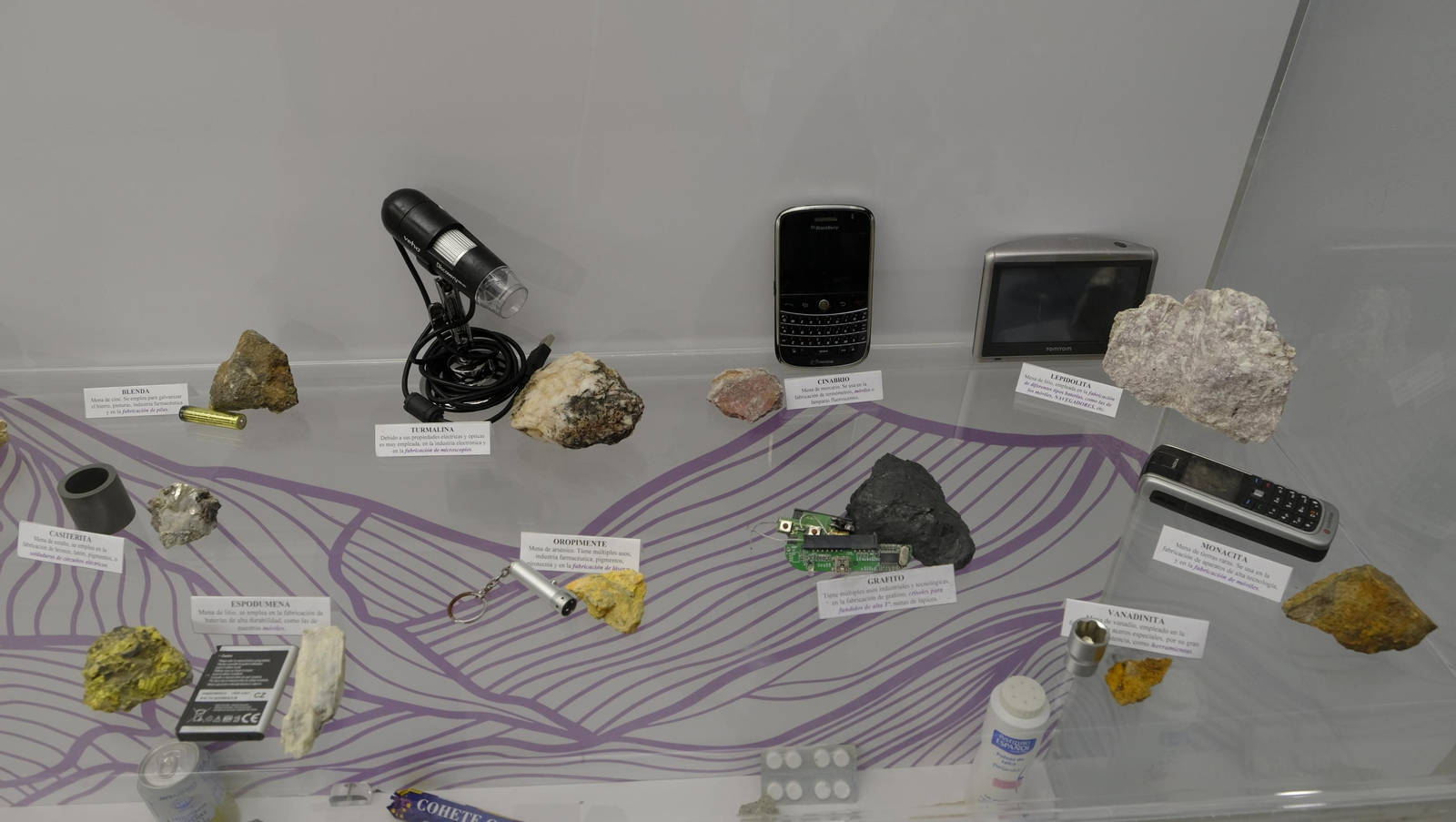 Descubre en estas fotos las maravillas que esconde el Pabellón de Historia Natural de la UAL