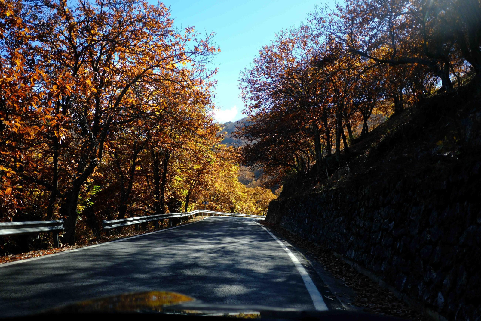 El Bosque de Cobre, en imágenes