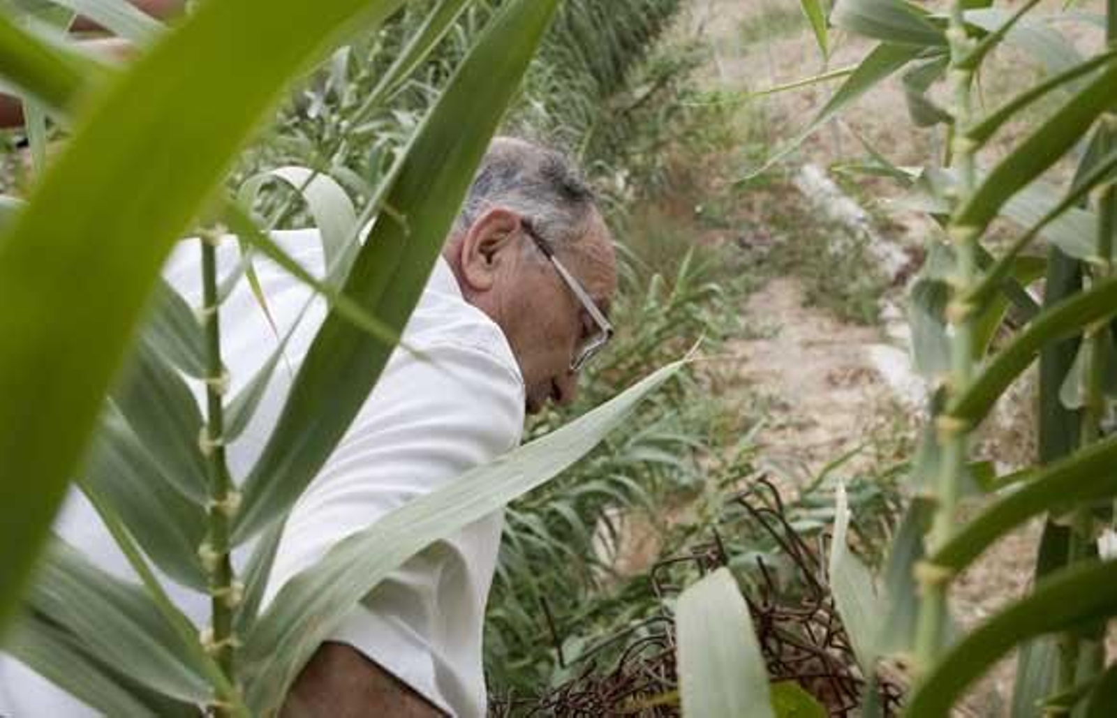 El juez ordena a la Policía que informe si es posible buscar el cuerpo cerca de la zanja de Camas