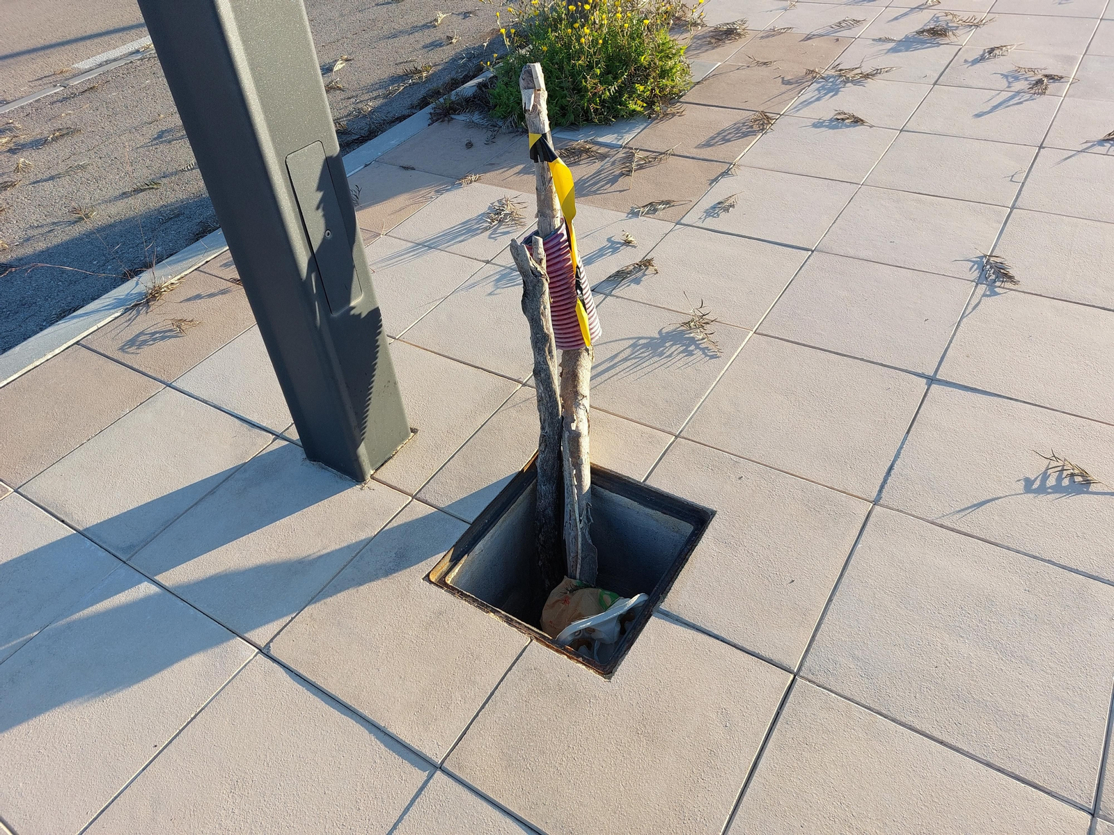 Inmediaciones del Jaén Plaza.