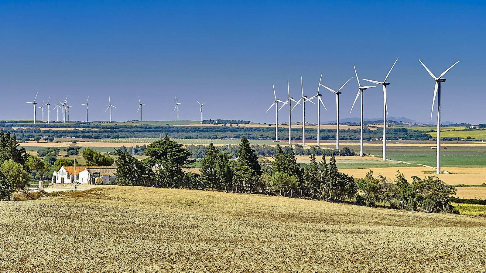 Vista del Parque Eólico de El Marquesado