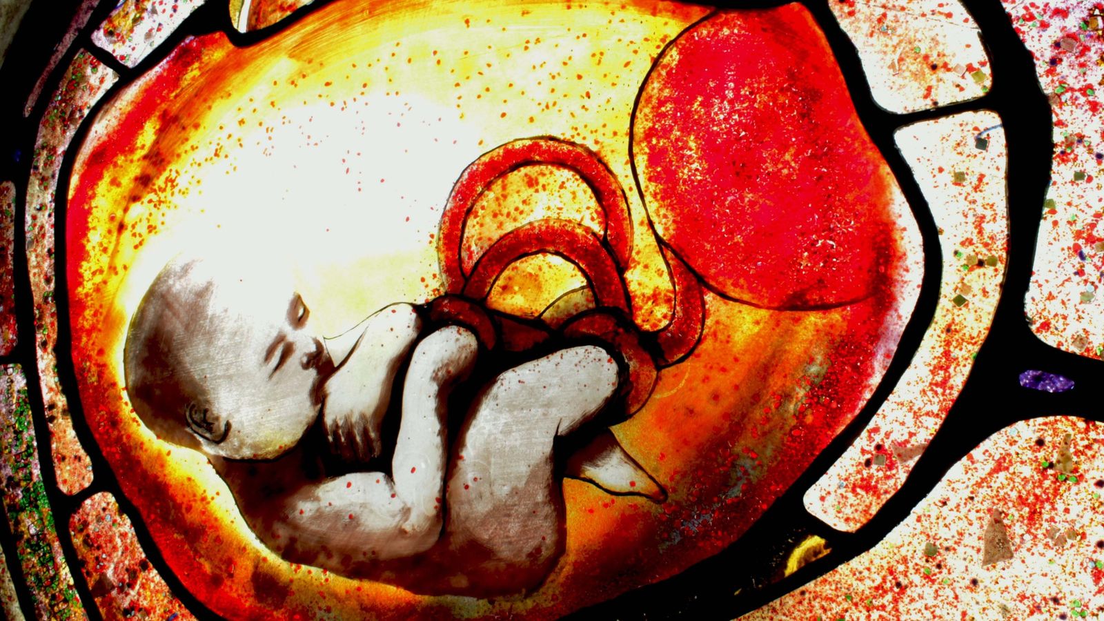 Vidriera para una vida