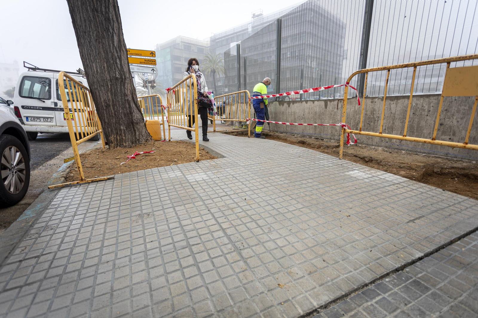 La acera se ha elevado con una pequeña rampa para salvar el árbol.