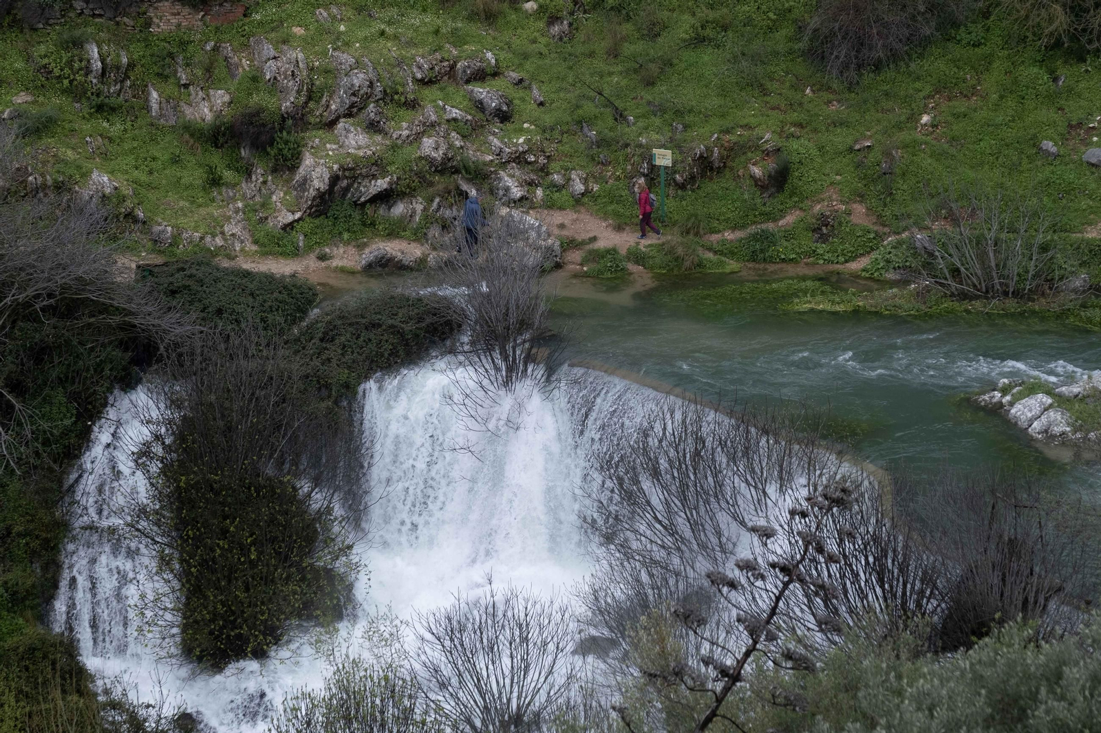 La lluvia transforma el paisaje de Málaga, en imágenes