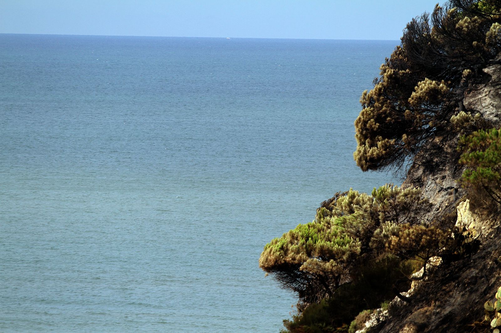 Imágenes de las consecuencias del incendio de Moguer