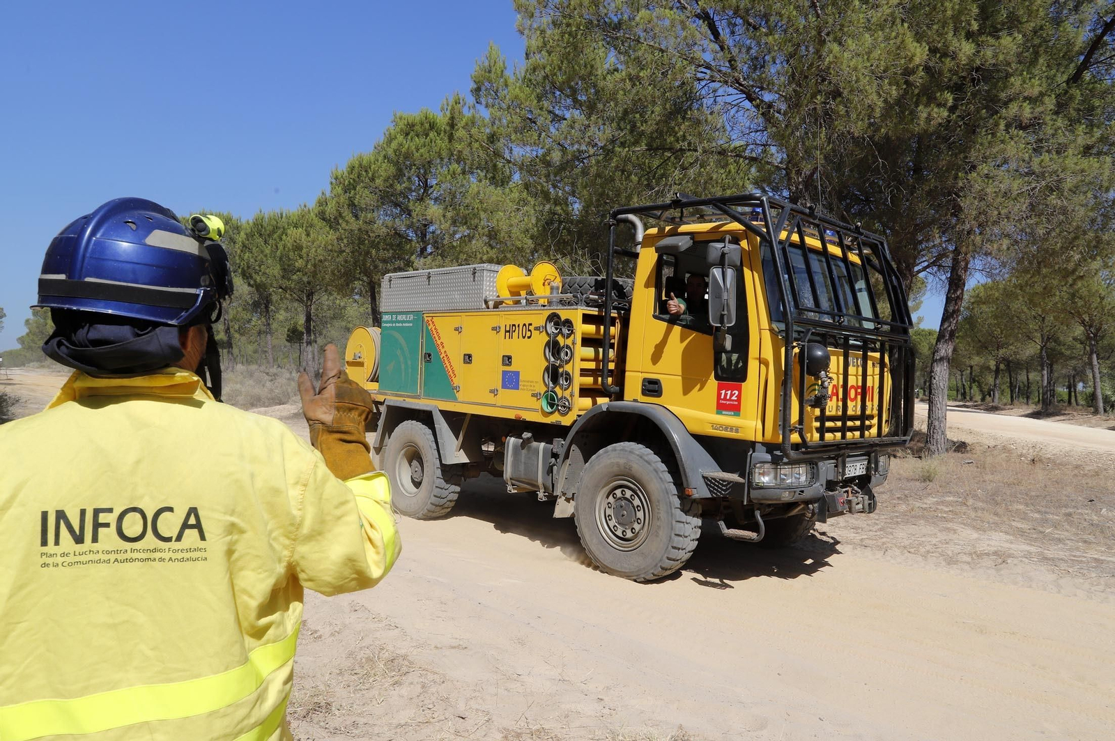 Imágenes de las zonas afectadas por los incendios de Almonte y Bonares
