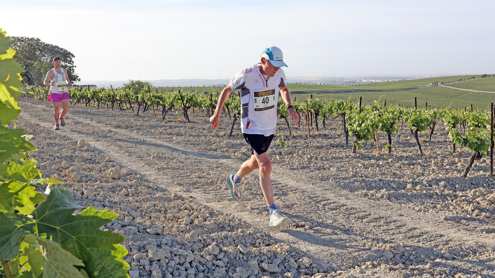 VI Sherry Maratón Jerez