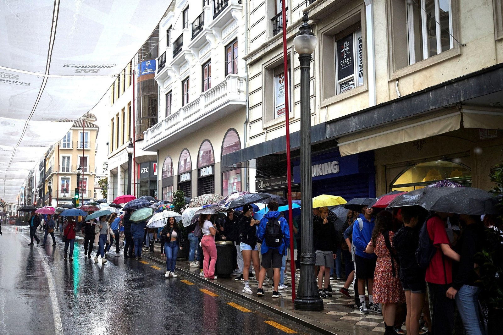 Todas las imágenes de la Tarasca, que no ha podido salir por la lluvia, y el modelo diseñado por María Francés