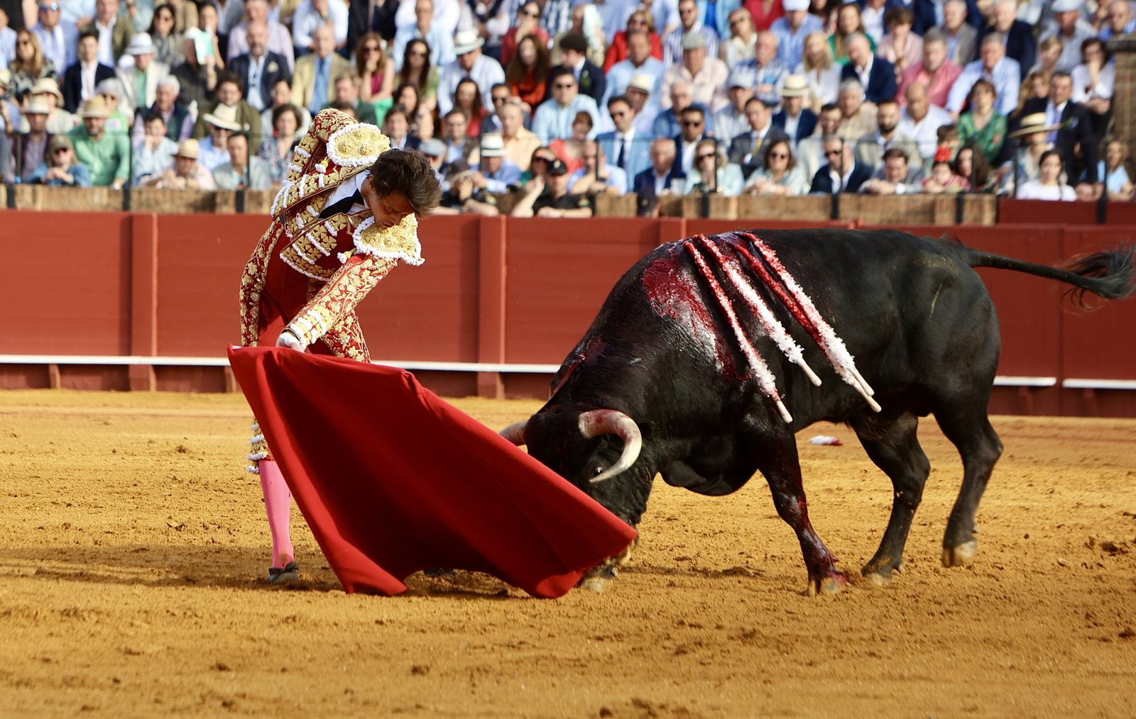 Las mejores imágenes de la corrida de toros de Juan Ortega, Roca Rey y Pablo Aguado