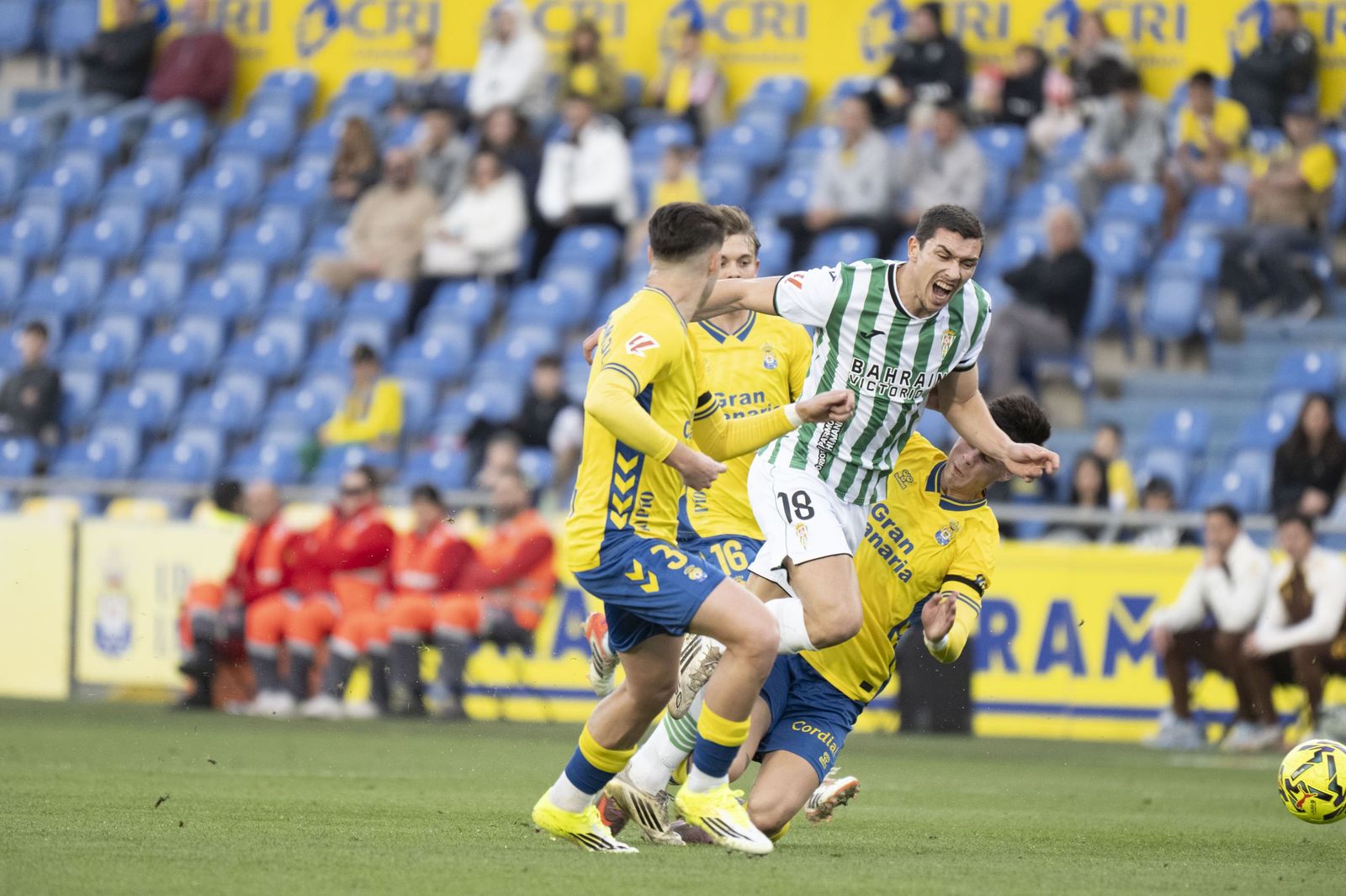 Las mejores fotos del triunfo del Córdoba CF ante Las Palmas