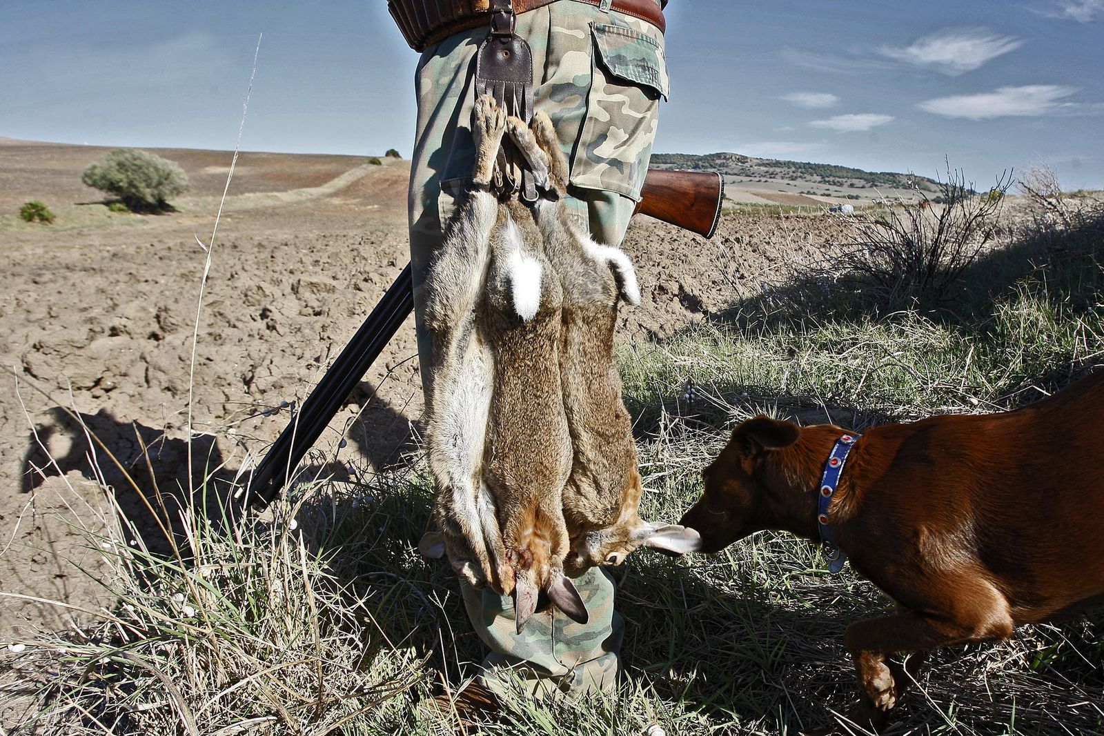 Un cazador con varias presas.