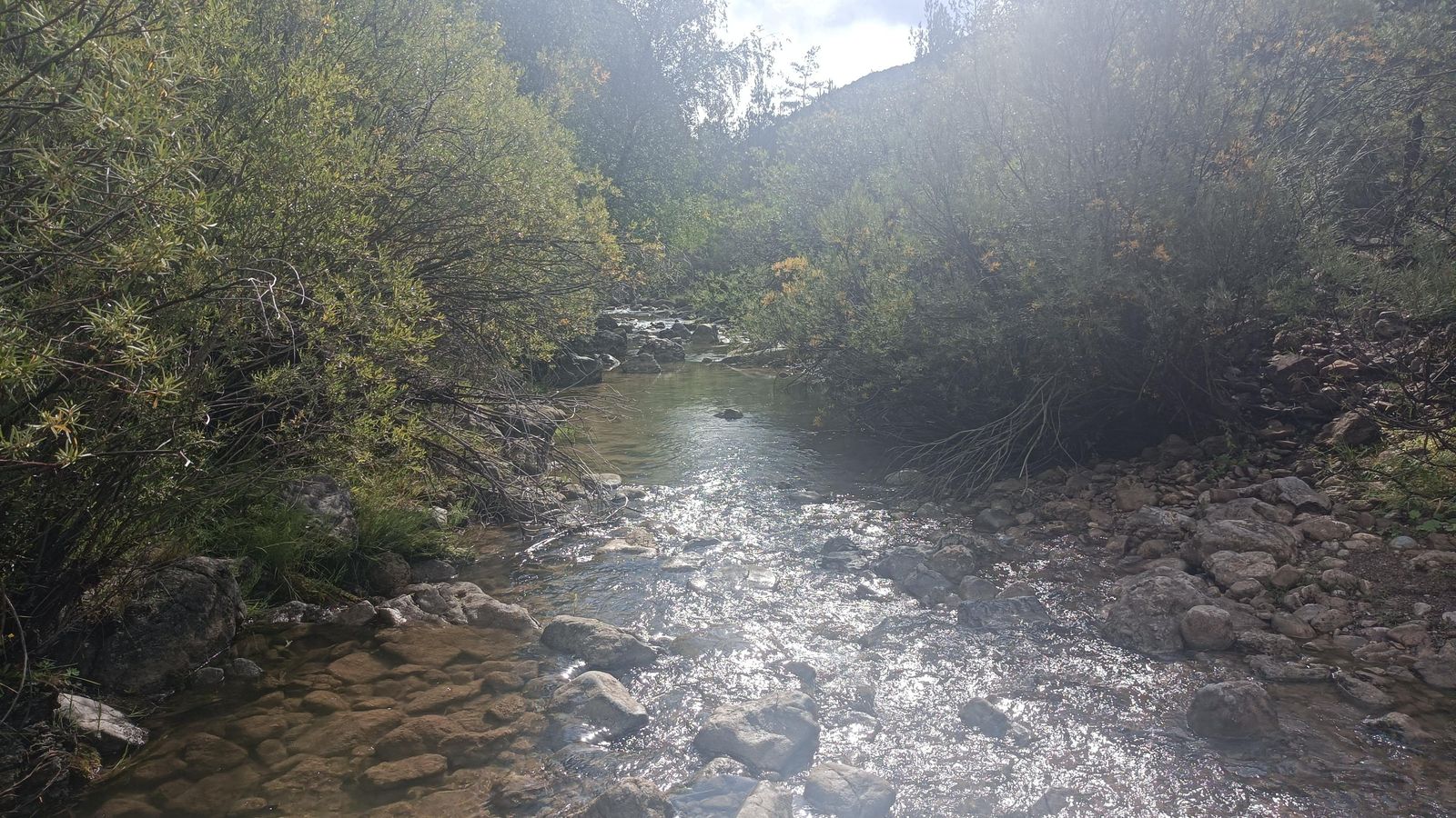 Vadeando el río Blanco.