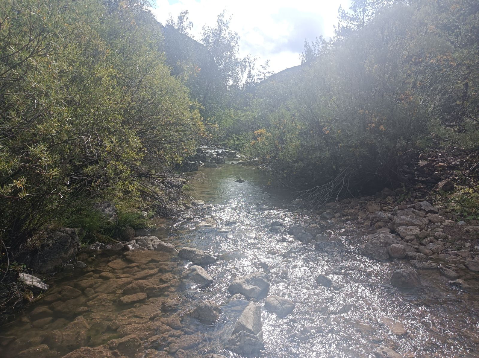 Vadeando el río Blanco.