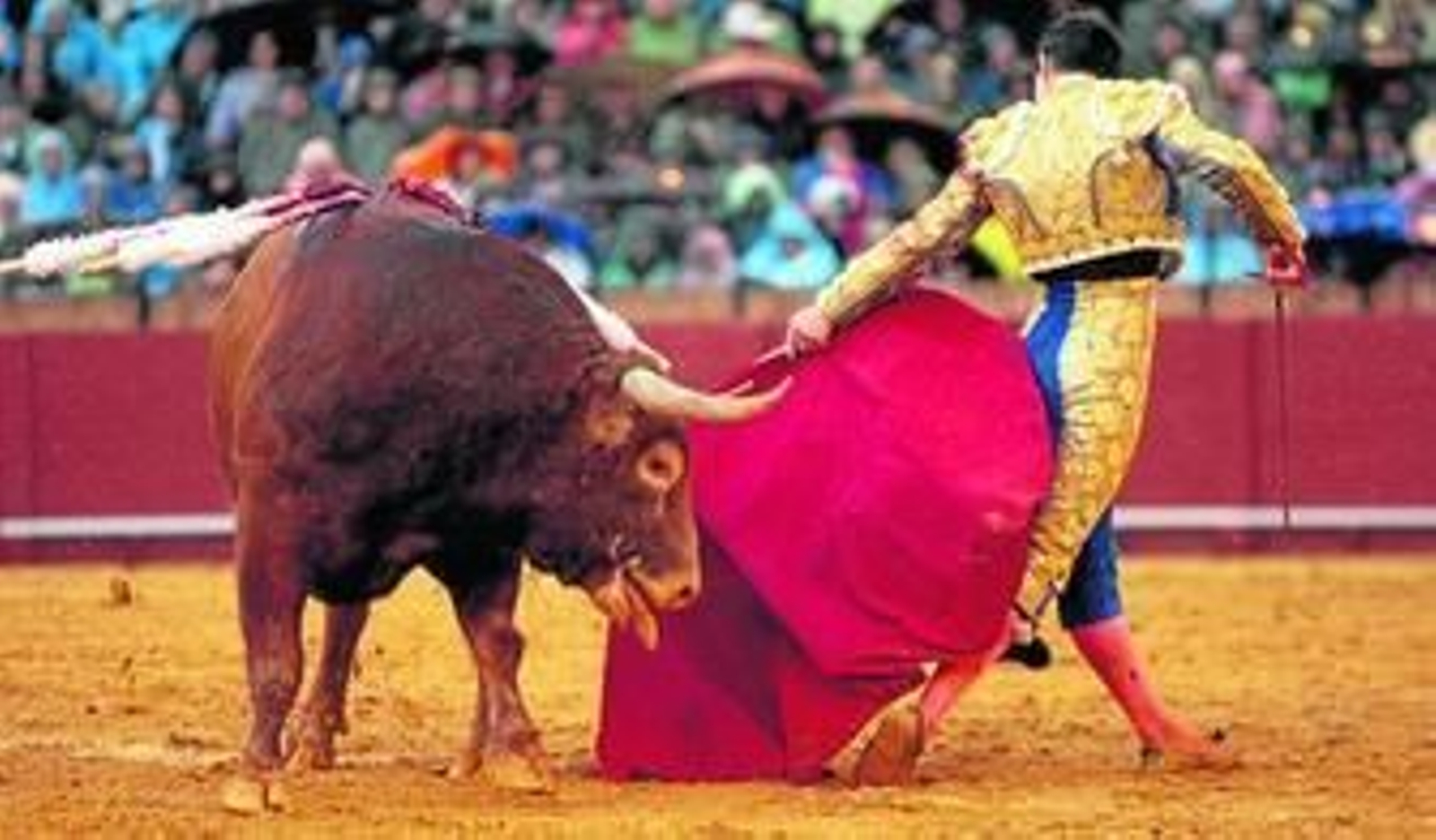 Julián López 'El Juli' sale gallardamente y con torería de la cara del cuarto toro, al que cortó las dos orejas, tras una serie en la muleta.