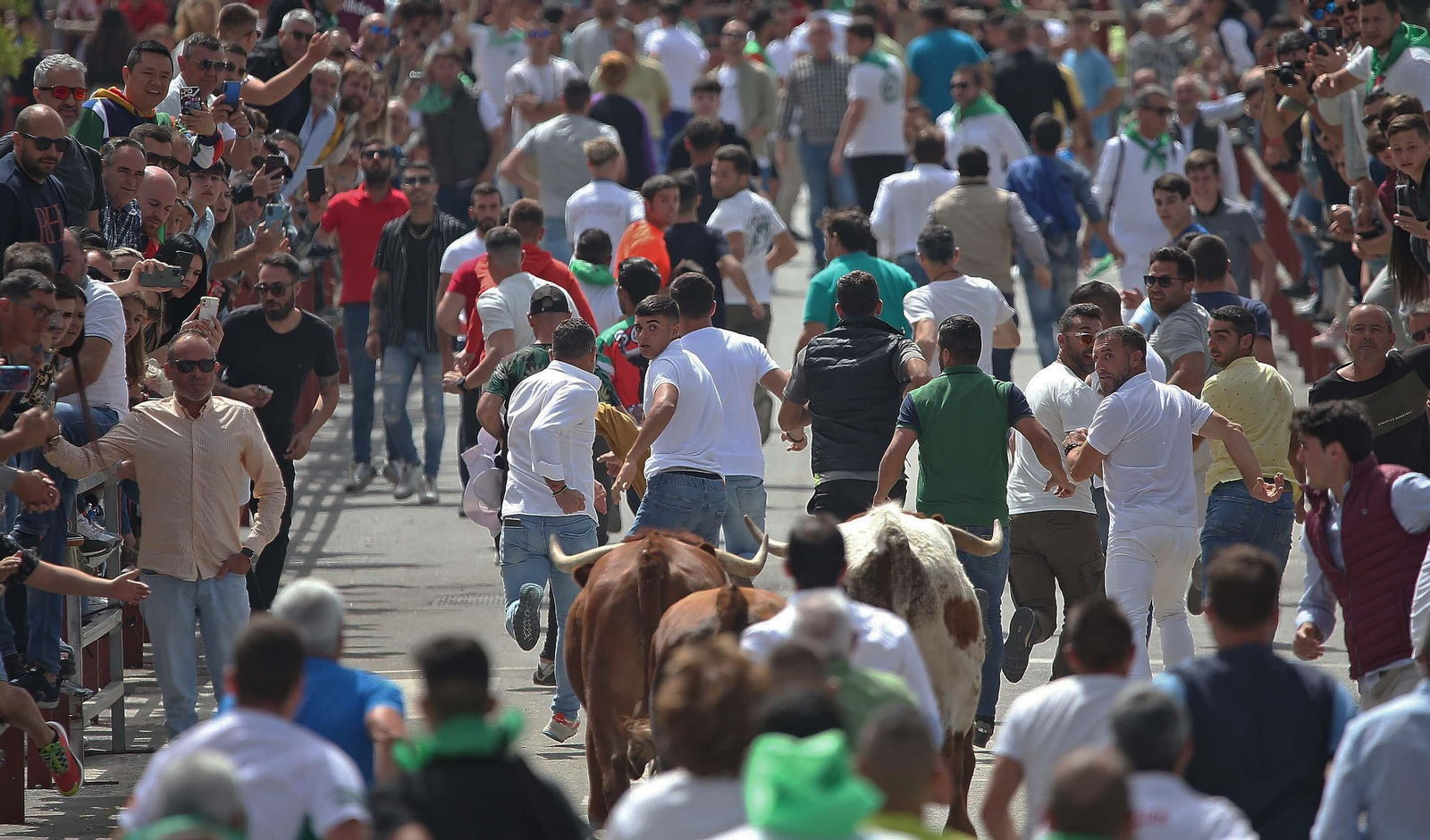 Fotos del Toro Embolao en Los Barrios