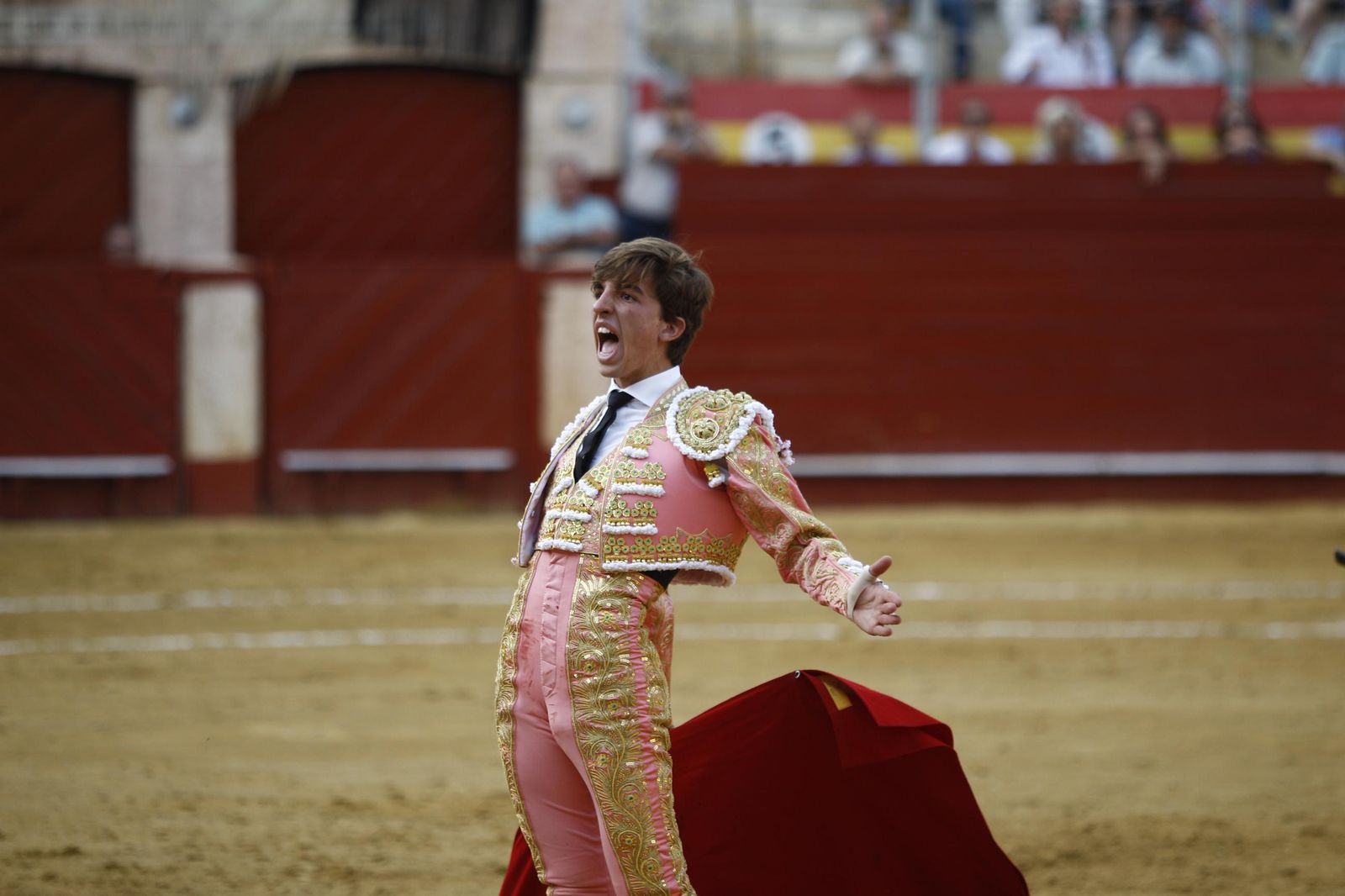 Imágenes de la novillada de la Feria de Almería 2025