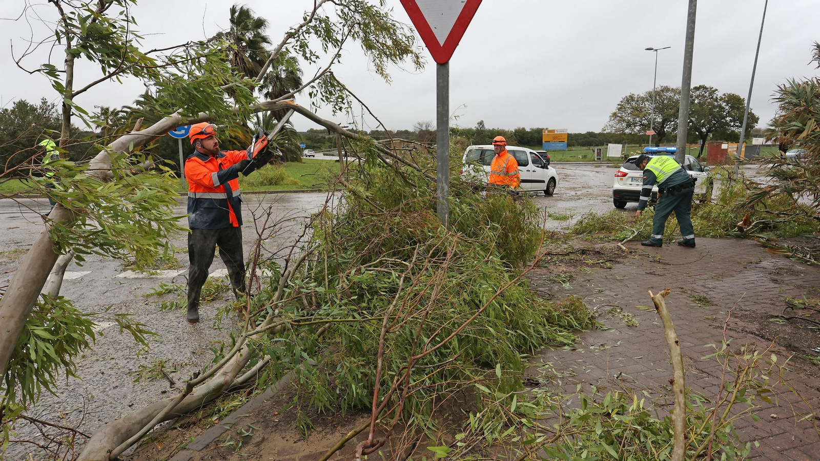 Imágenes del temporal de viento y lluvia en Jerez
