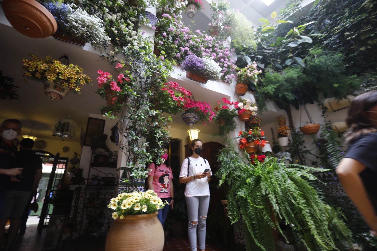 Fotografías: Sábado de colas y bulla en los Patios de Córdoba