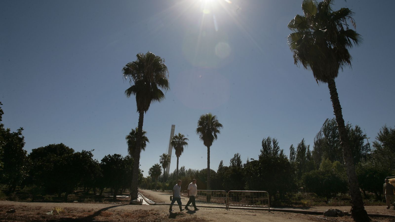 Este sábado, se ha programado una ruta botánica.