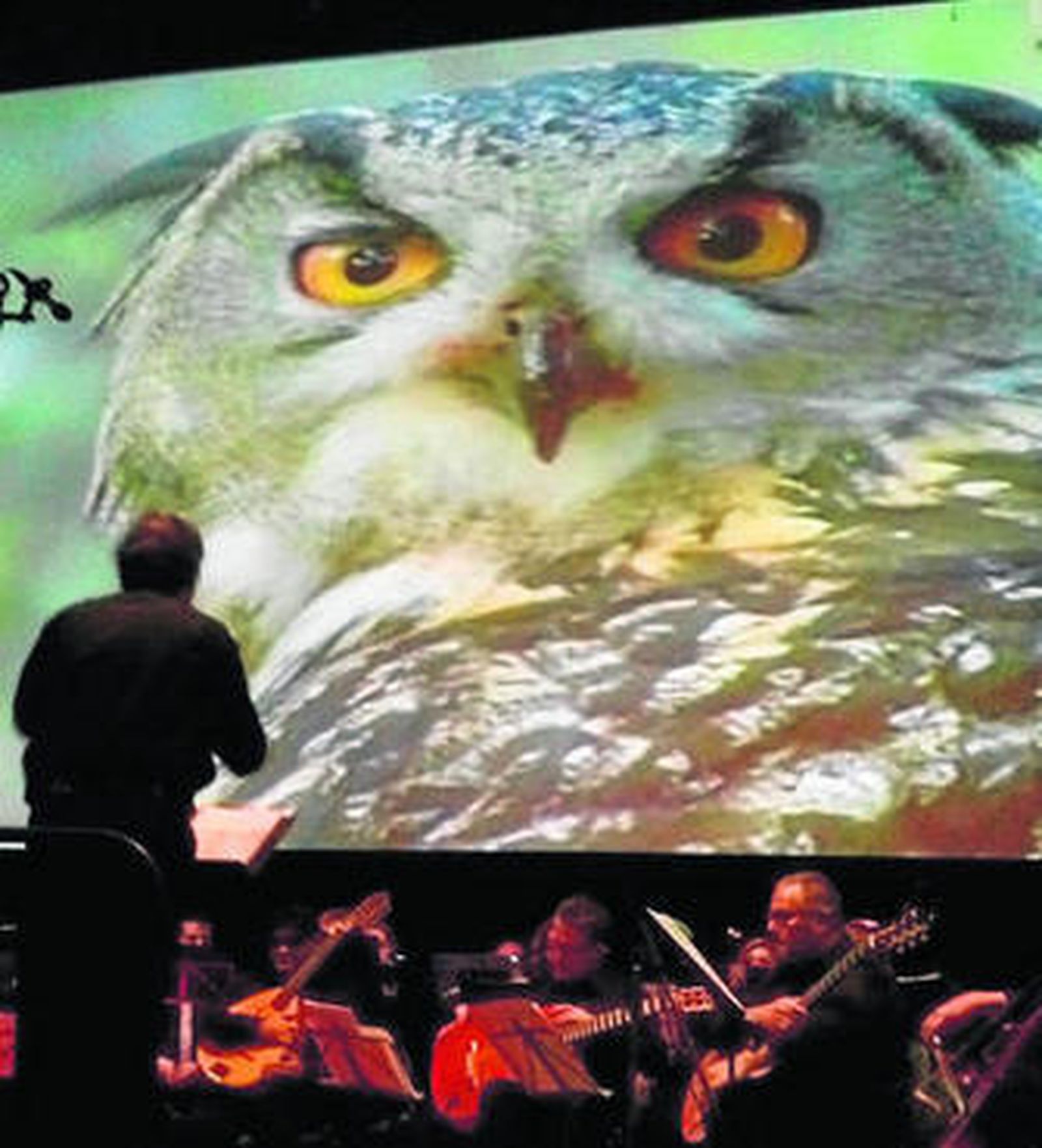 La orquesta sinfónica, durante un concierto en la Casa Colón.