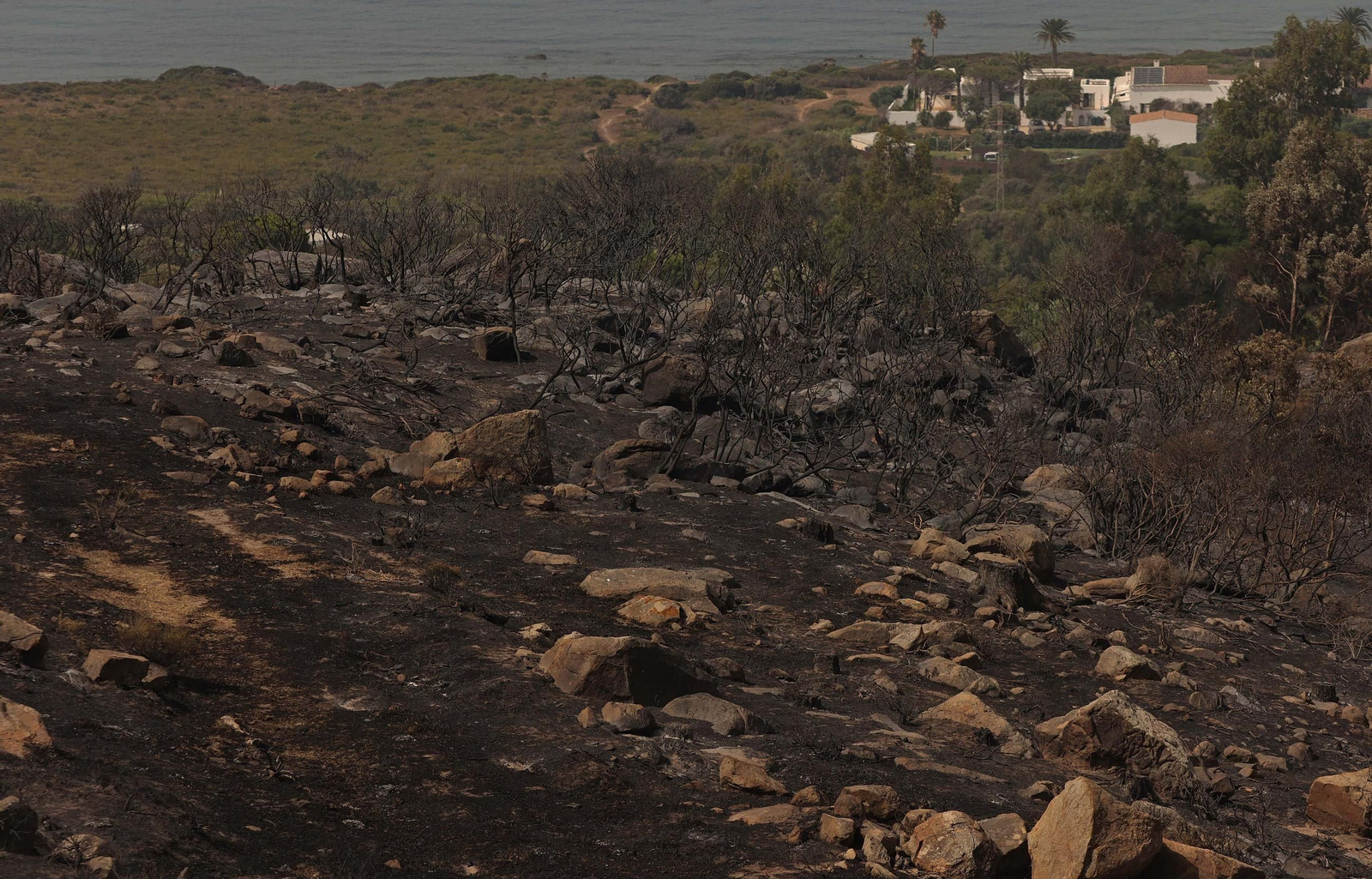 Fotos de los efectos del incendio en el monte de La Peña en Tarifa
