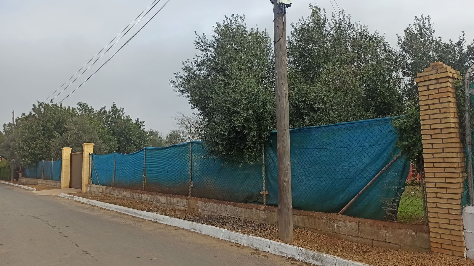 La finca de Carmona propiedad de Álvaro.