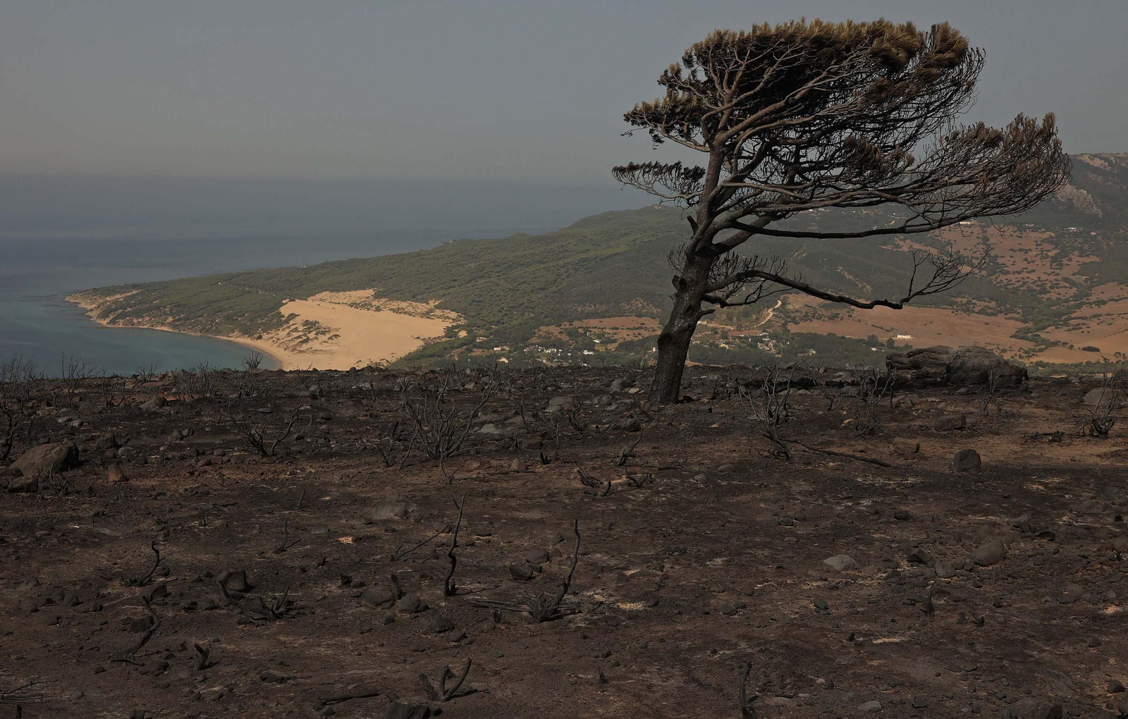 Fotos de los efectos del incendio en el monte de La Peña en Tarifa