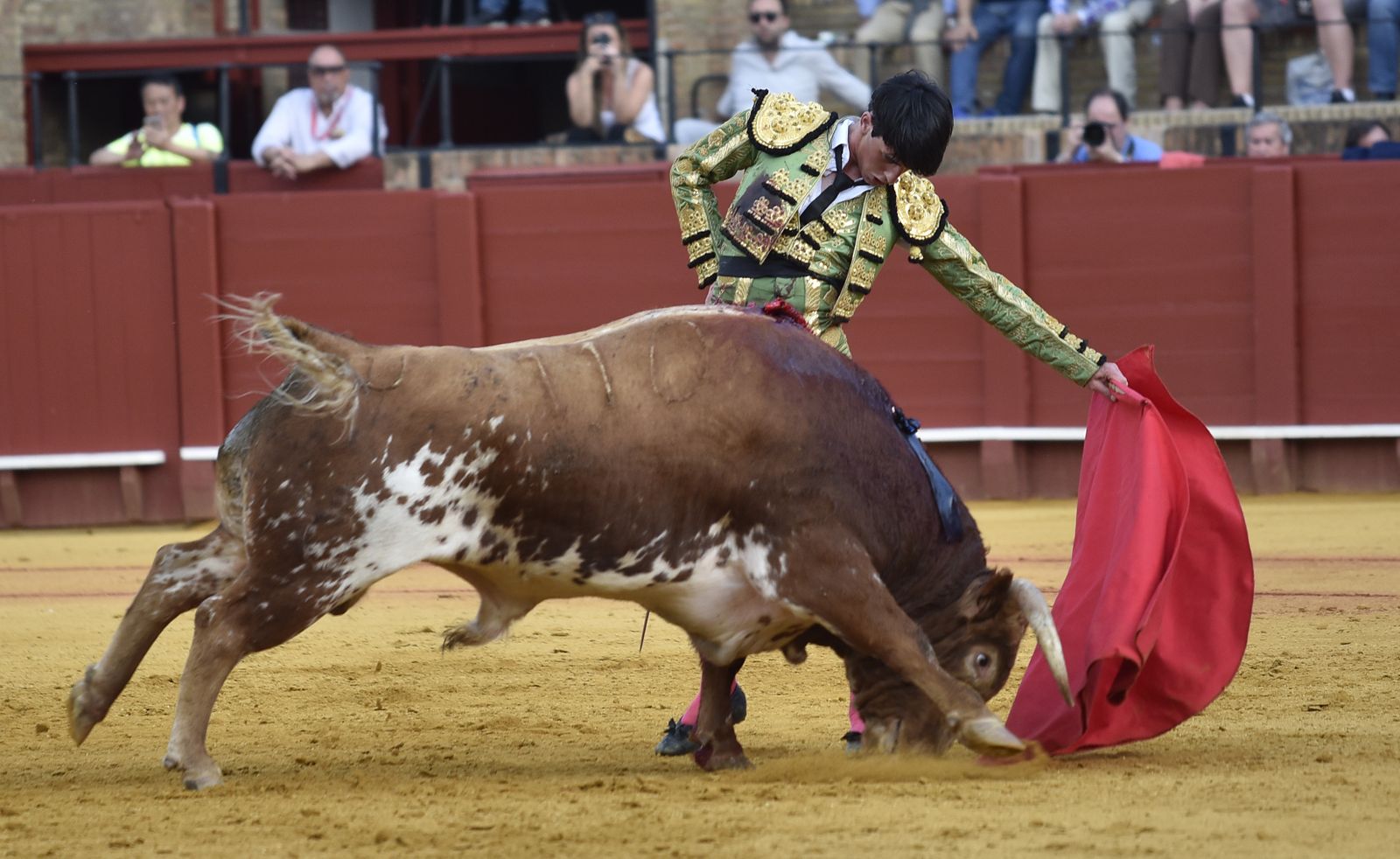 David Salvador, en un natural al segundo novillo del encierro de Rocío de la Cámara-Cortijo de la Sierra.