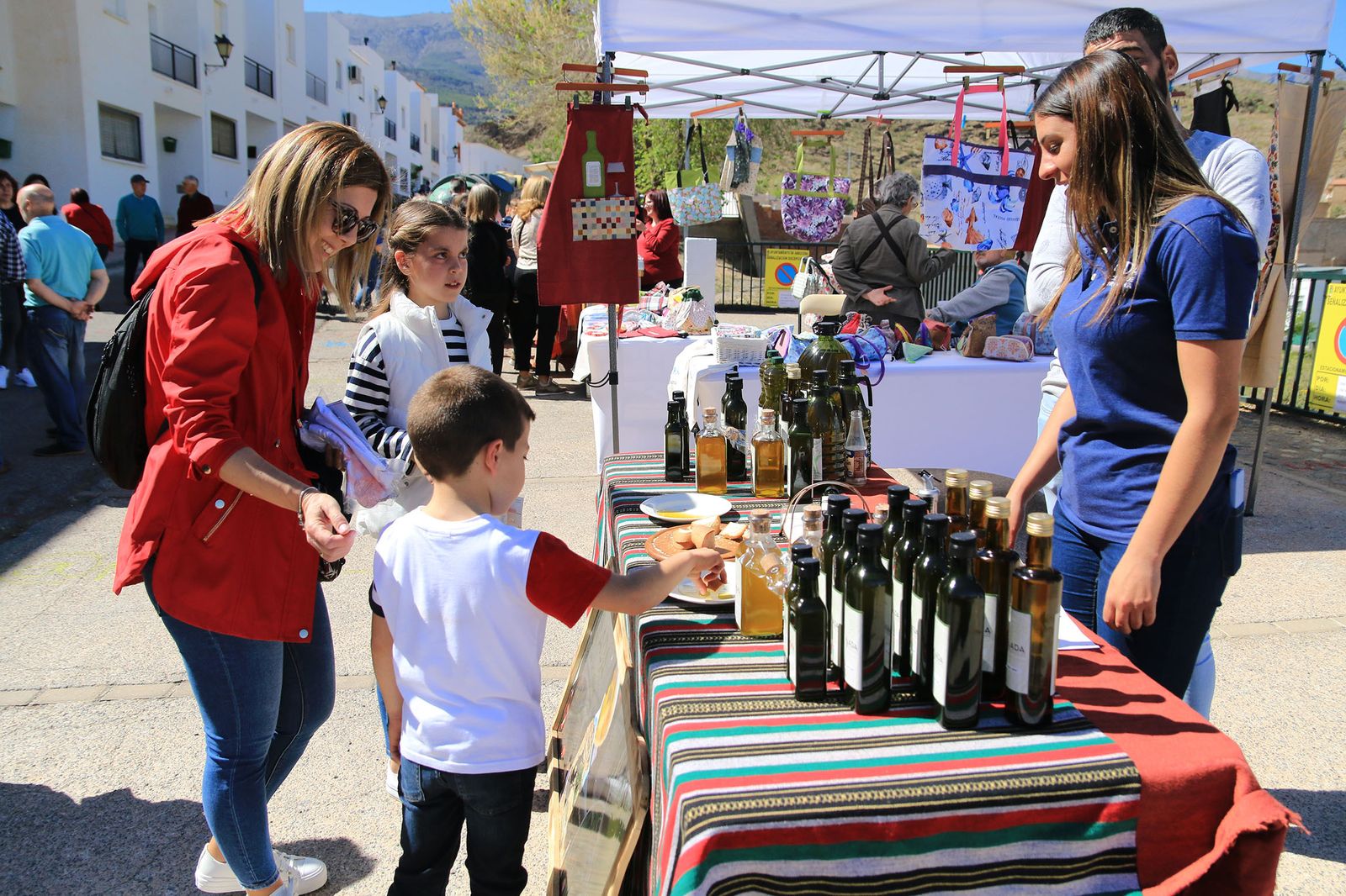 Homenaje al Olivo en Abrucena