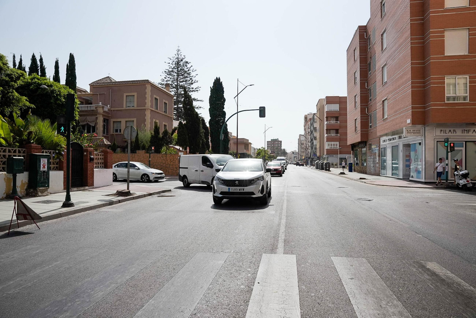 Completan la tala de palmeras de la avenida Cabo de Gata