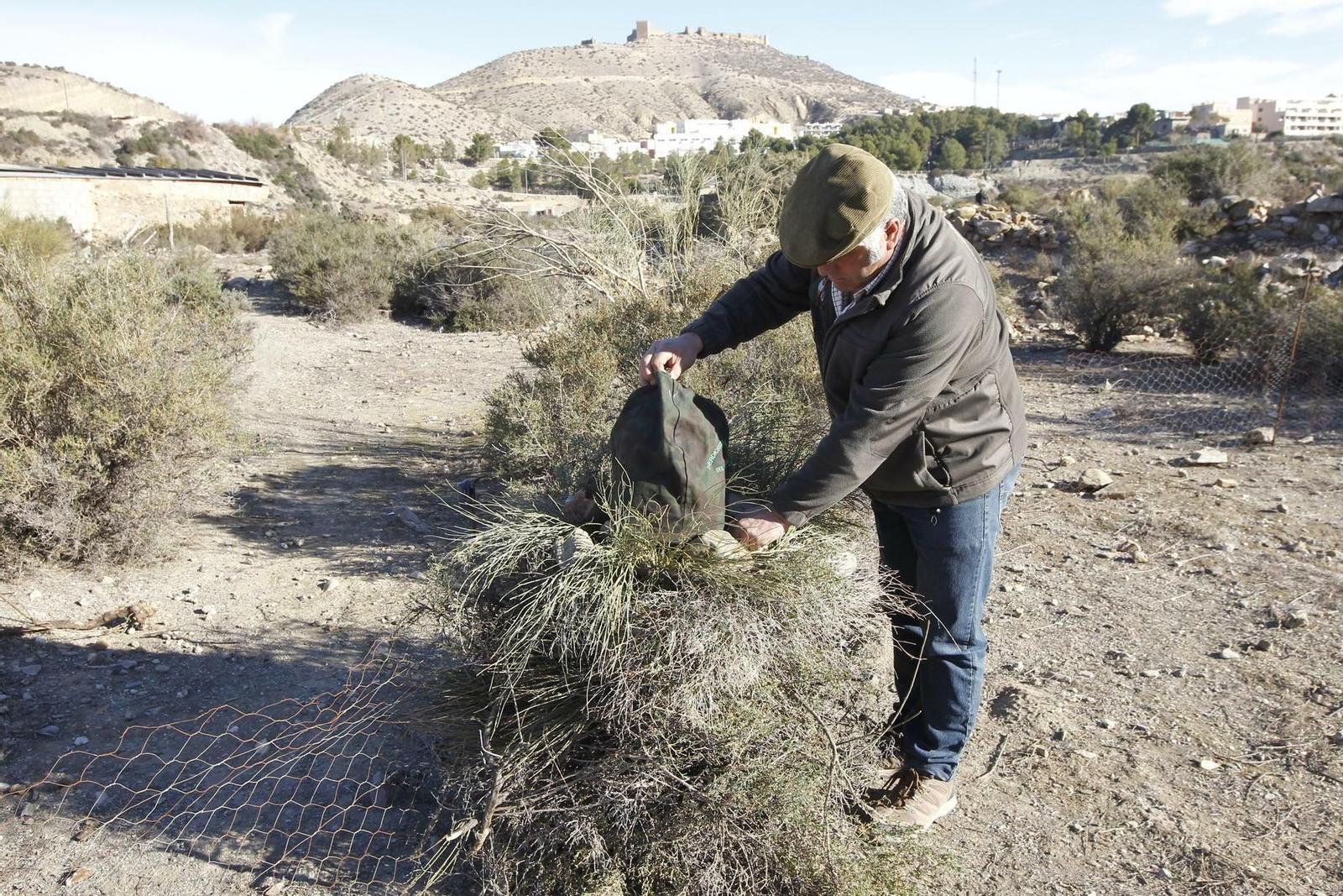 La perdiz roja 'reclama' a los cazadores de Almería La perdiz roja 'reclama' a los cazadores de Almería