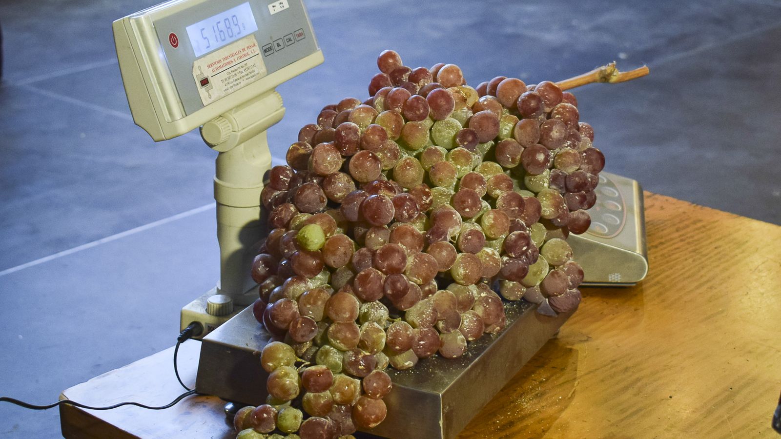 Un racimo de uvas de los presentados al concurso