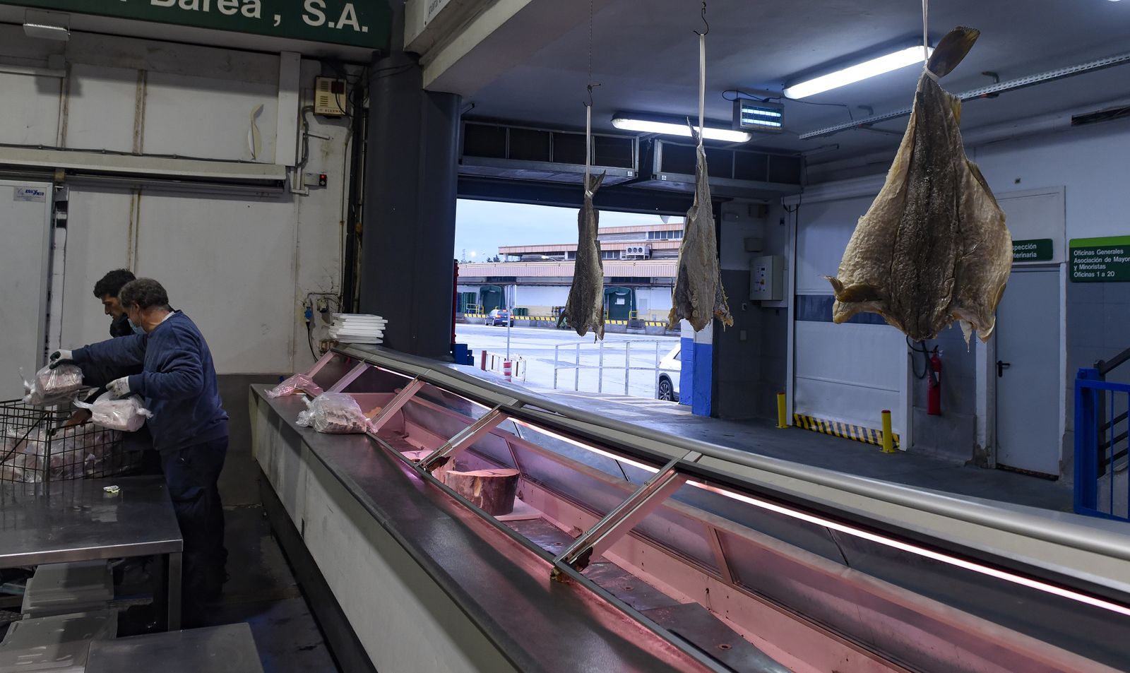 Mercasevilla en imágenes