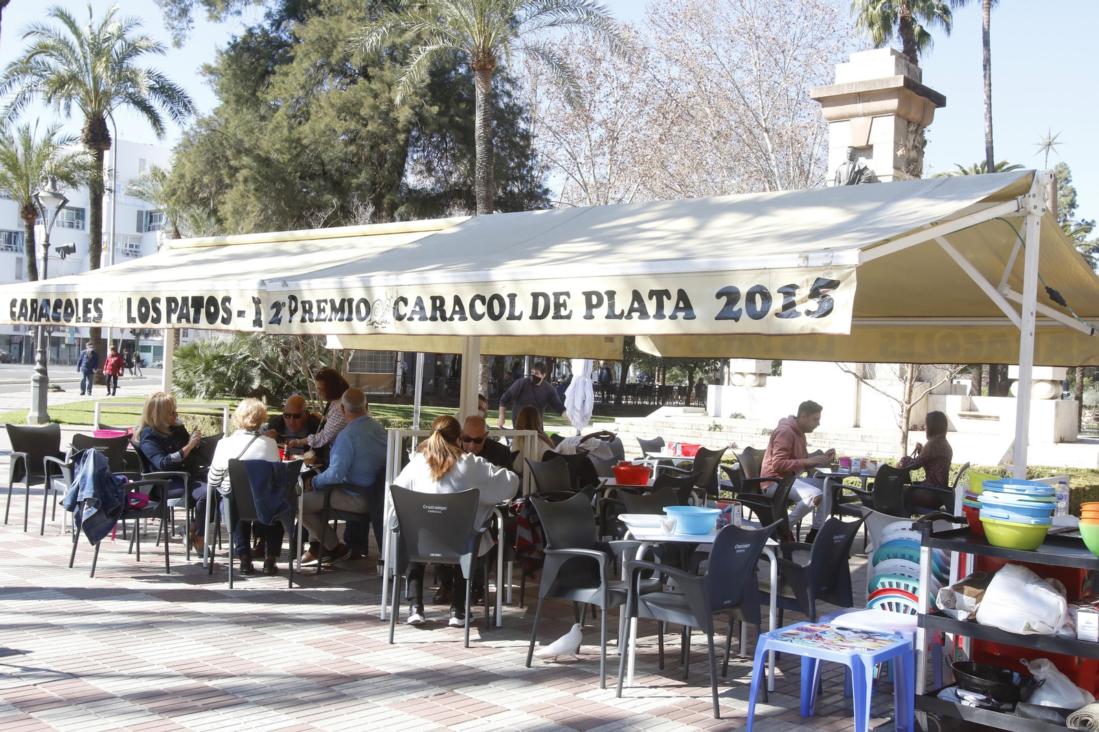 El comienzo de la temporada de caracoles 2022, en imágenes